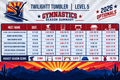 2026 Arizona Optionals Gymnastics Season Summary Magnet